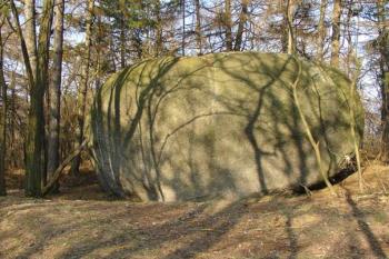 Jiný balvan v rezervaci Klepec II. ( © Jiří Čížek 04/2006)