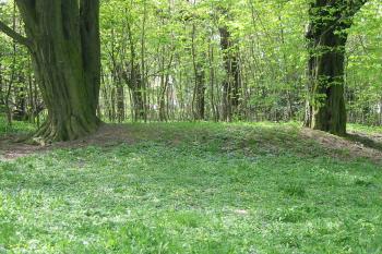 tvrziště od sv. (© D Dohňanský, 05/2015)