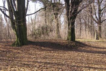 viditelná hrana zanikajícího pahorku tvrze ( © Jan P. Štěpánek 02/2008)