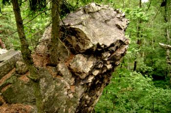 útvar v hlavním hřebeni (© Daniel Šmidrkal, 07/2010)