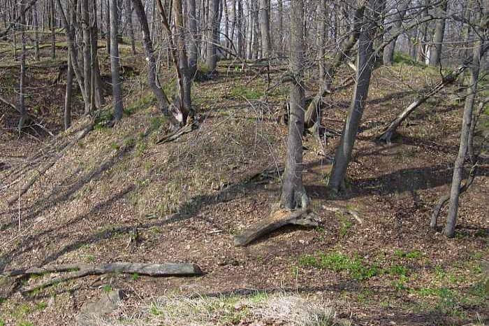 Najštejn