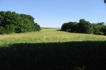 mírně stoupající louka přímo na severu,snad bývalá přístupová cesta (© D Dohňanský, 06/2015)