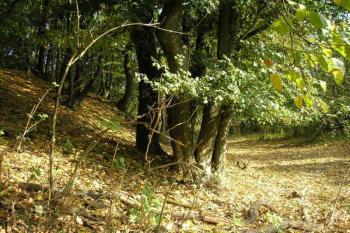 nástupní plošina (vpravo), bývalý příkop ( © Ondřej Štěpánek 10/2006)