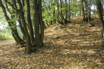 nástupní plošina (vnější strana příkopu) ( © Ondřej Štěpánek 10/2006)