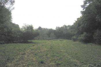 čelní pohled na zaniklou lokalitu jádra (v pozadí zahaleno keři) ( © Ondřej Štěpánek 10/2006)