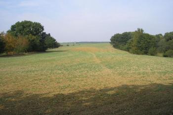 pohled od nástupní plošiny směrem k Zákřovu ( © Ondřej Štěpánek 10/2006)