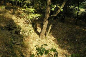 další pohled na prohlubeň ve vnější straně příkopu ( © Ondřej Štěpánek 10/2006)