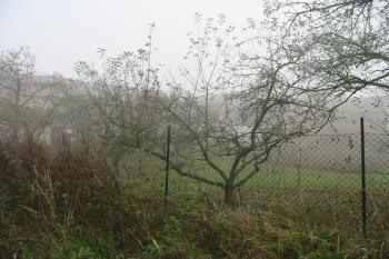 pohled od jz.na bývalou plochu tvrziště /zahrada domu čp.223/ (© D Dohňanský, 11/2015)