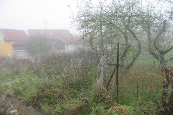 pohled od jihu na záp.okraj tvrziště (© D Dohňanský, 11/2015)