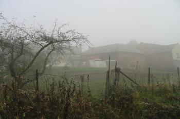pohled na plochu od jihu (© D Dohňanský, 11/2015)
