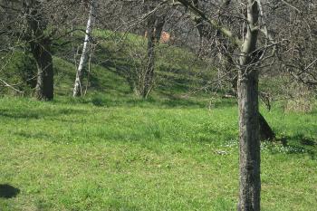  ( © Martin Kabeláč 04/2007)