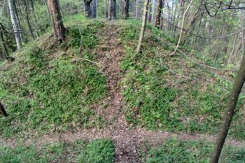 první fáze opevnění - pohled z pahorku jádra přes příkop na čelní val ( © Pavel Zany Komárek 7.5. 2005)