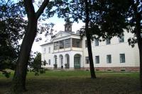 Citov