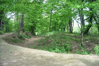 původně zamýšlené místo tvrze (© D Dohňanský, 05/2015)