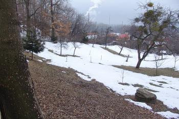 Místo tvrze dle M.Plačka, proláklina jihovýchodního příkopu ( © Roman Řezáč 03/2006)