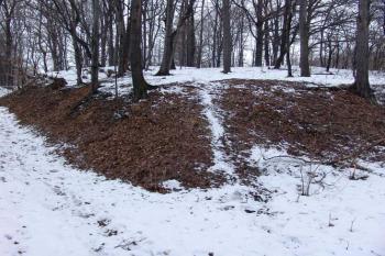 Místo tvrze dle E.Domluvila, uvažovaný centrální pahorek ( © Roman Řezáč 03/2006)
