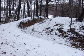 Místo tvrze dle E.Domluvila, uvažovaný západní příkop ( © Roman Řezáč 03/2006)
