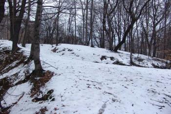 Místo tvrze dle E.Domluvila, uvažovaný centrální pahorek, pohled od západu ( © Roman Řezáč 03/2006)