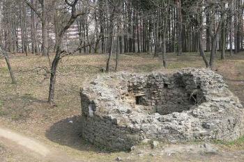  ( © Petr Turyna 04/2006)