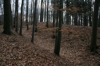 Vnější příkop ( © Petr Nožička 03/2012)