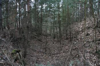 Příkop jádra ( © Petr Nožička 03/2012)