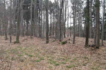 Val předhradí (© koalix 04/2006)