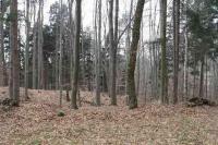 hradiště nad Semtěší