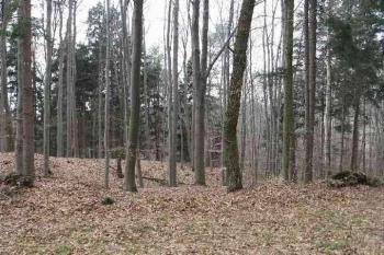 Val předhradí (© koalix 04/2006)