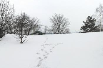 Panorama plochy jádra tvrze od jihu ( © Jan P. Štěpánek 03/2006)