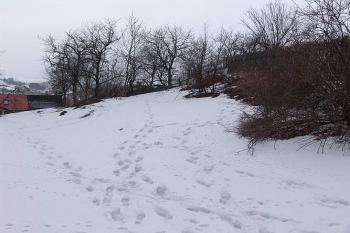 Jihozápadní část tvrziště ( © Roman Řezáč 03/2006)