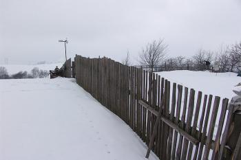 Plot zahrady vedoucí napříč zaniklým centrálním pahorkem ( © Roman Řezáč 03/2006)