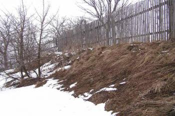 Svah hrany jádra na jihozápadě lokality, přecházející do terásky patrně po bývalém příkopu ( © Jan P. Štěpánek 03/2006)
