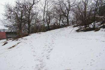 Teráska pod hranou jádra tvrze na jihozápadě, patrně erozí setřelý pozůstatek příkopu a valu ( © Jan P. Štěpánek 03/2006)
