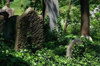židovský hřbitov (© Tomáš Berka, 06/2011)