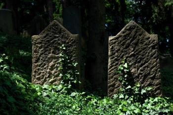židovský hřbitov (© Tomáš Berka, 06/2011)