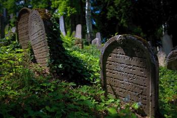 židovský hřbitov (© Tomáš Berka, 06/2011)