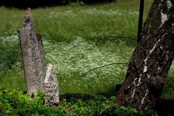 židovský hřbitov (© Tomáš Berka, 06/2011)