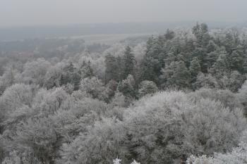 výhled na Petrohrad (©honzbery, 01/2009)