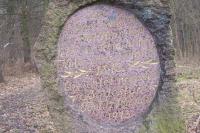 pomník ke 100. výročí bitvy u Chlumce 1813