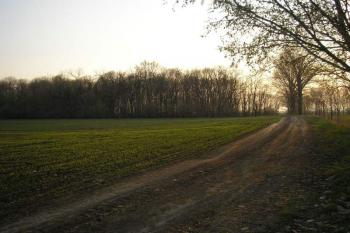 celkový pohled na cholerový hřbitov ( © Ondřej Štěpánek 04/2006)