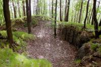 Pihel