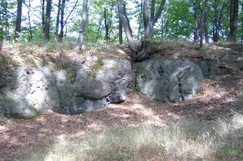 Pihel (© vladimír kotek, 09/2003)