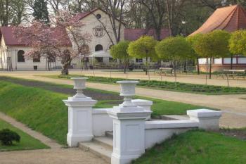 restaurace 