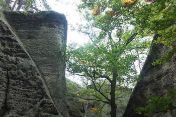 Zbytky mostního plilíře vytesaného v pískovcové skále (© Milan Caha, 10/2006)