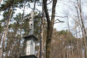 Turistická stezka vede okolo kříže až k hradu Starý Jičín ( © Miroslav BITTER 2006)