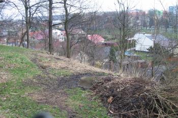 na vých. straně byl hrádek chráněn tímto prudkým srázem (© D Dohňanský, 04/2015)