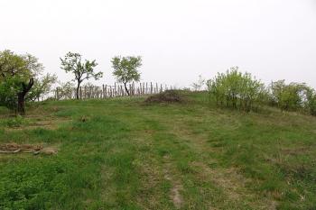 Pohled na místo centrálního pahorku od východu ( © Roman Řezáč 04/2006)