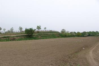 Pohled na vyvýšeninu tvrziště a návaznost na pole na jihu ( © Roman Řezáč 04/2006)