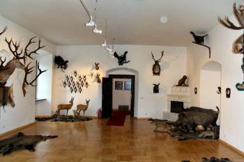 interiérová instalace loveckých trofejí ( © Pavel Zany Komárek 8.5. 2005)