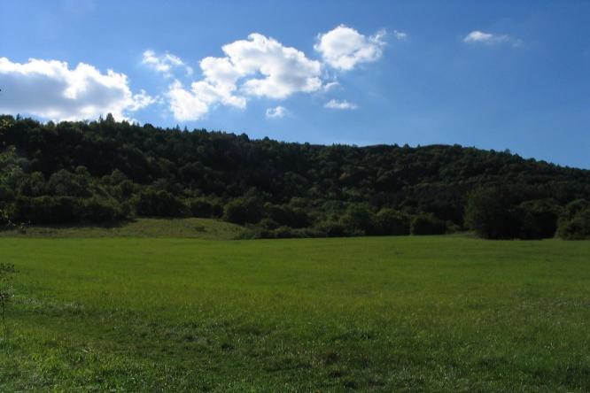 Úhošť